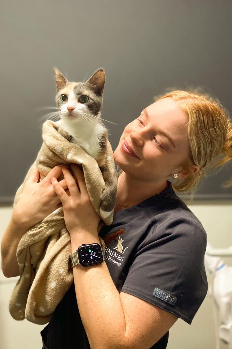 Rathmines Vet - Pet Wellness Exams & Preventative Care