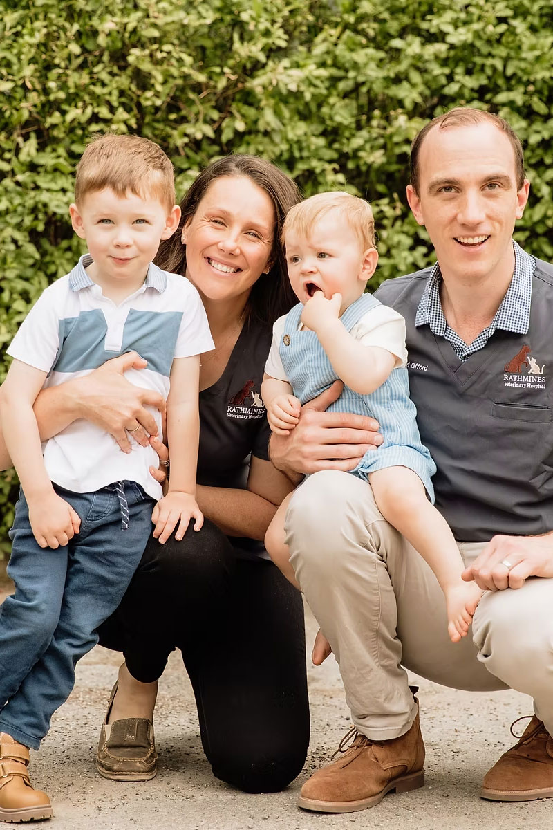 Rathmines Vet - Contact Us