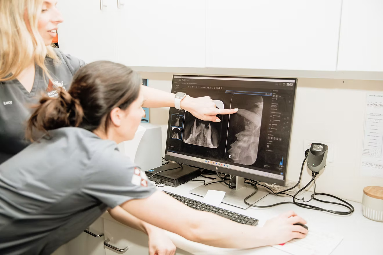 Rathmines Vet - Pet Dentistry