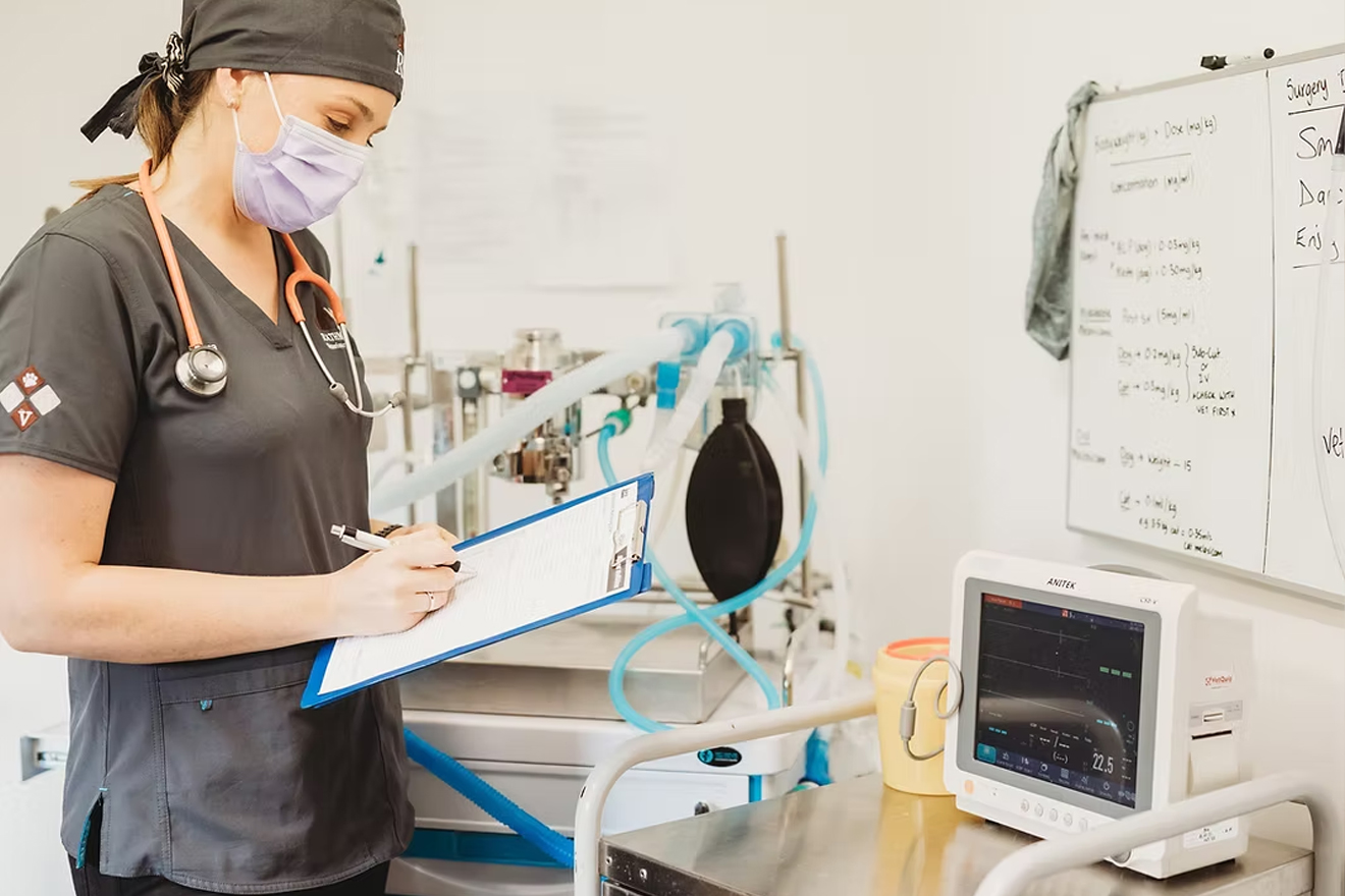 Rathmines Veterinary Hospital - Surgery & Anaesthesia