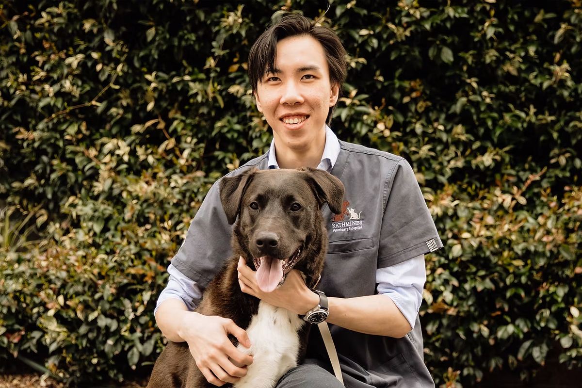 Rathmines Vet - Meet Our Team - Dr Alex Pan