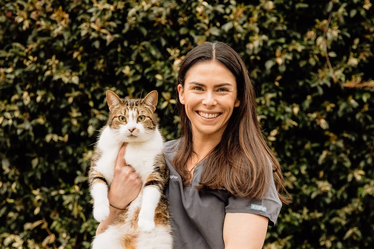 Rathmines Vet - Meet Our Team - Dr Caitlyn Gallagher