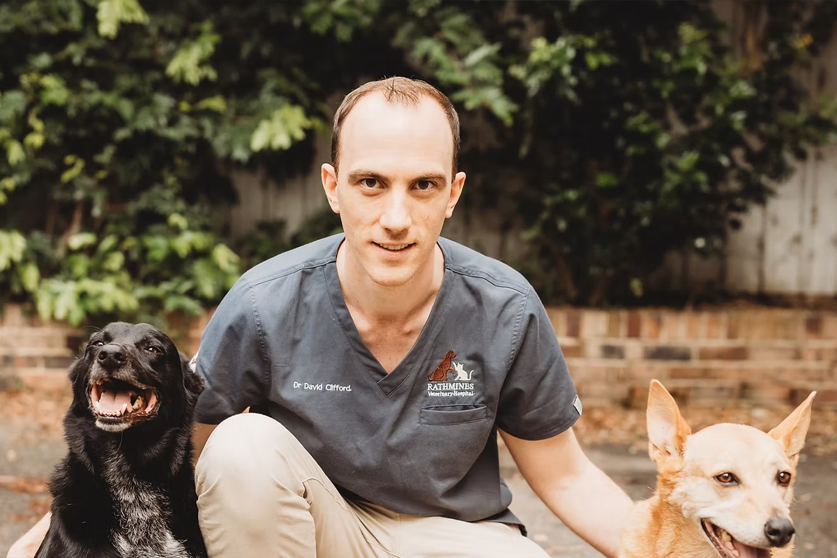 Rathmines Vet - Meet Our Team - Dr David Clifford
