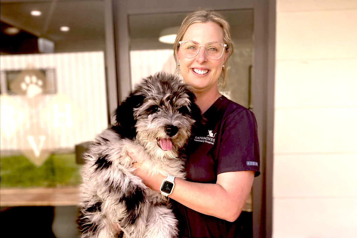 Rathmines Vet - Meet Our Team - Charlotte