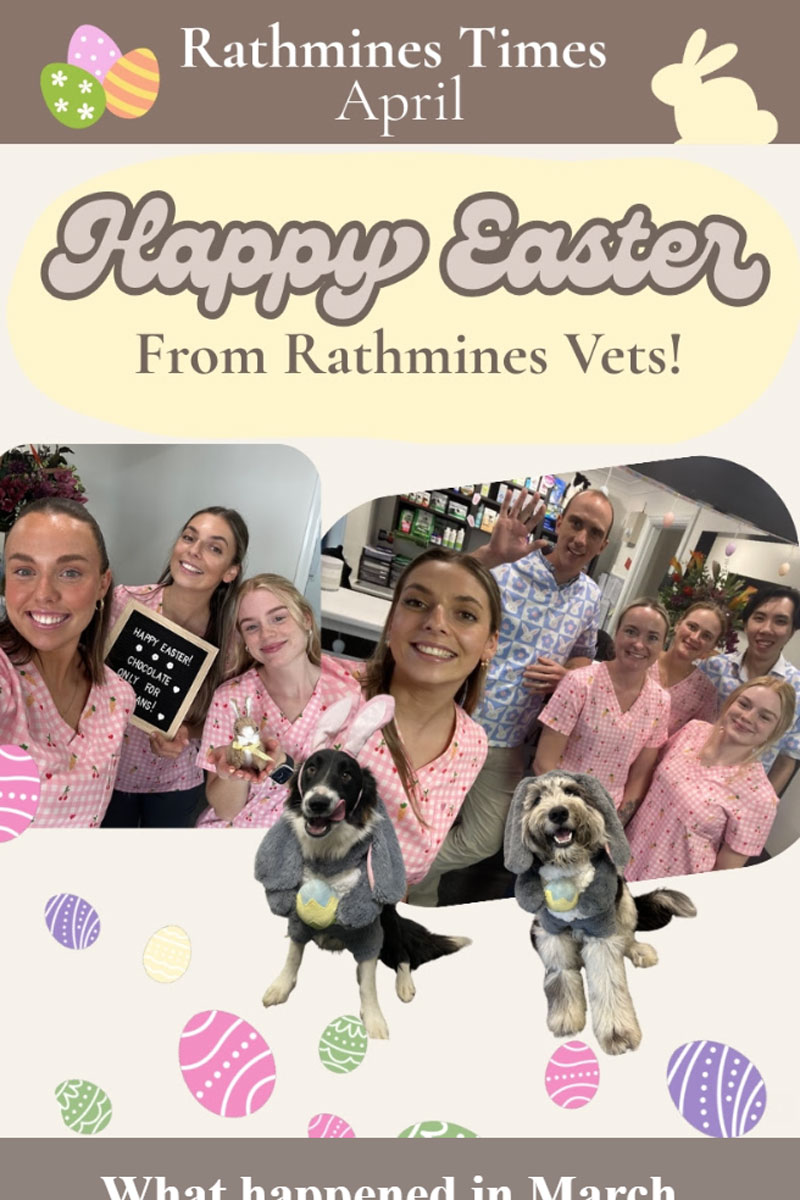 Rathmines Vet - Rathmines Times Newsletter