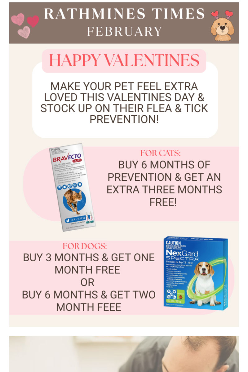 Rathmines Vet - Rathmines Times Newsletter