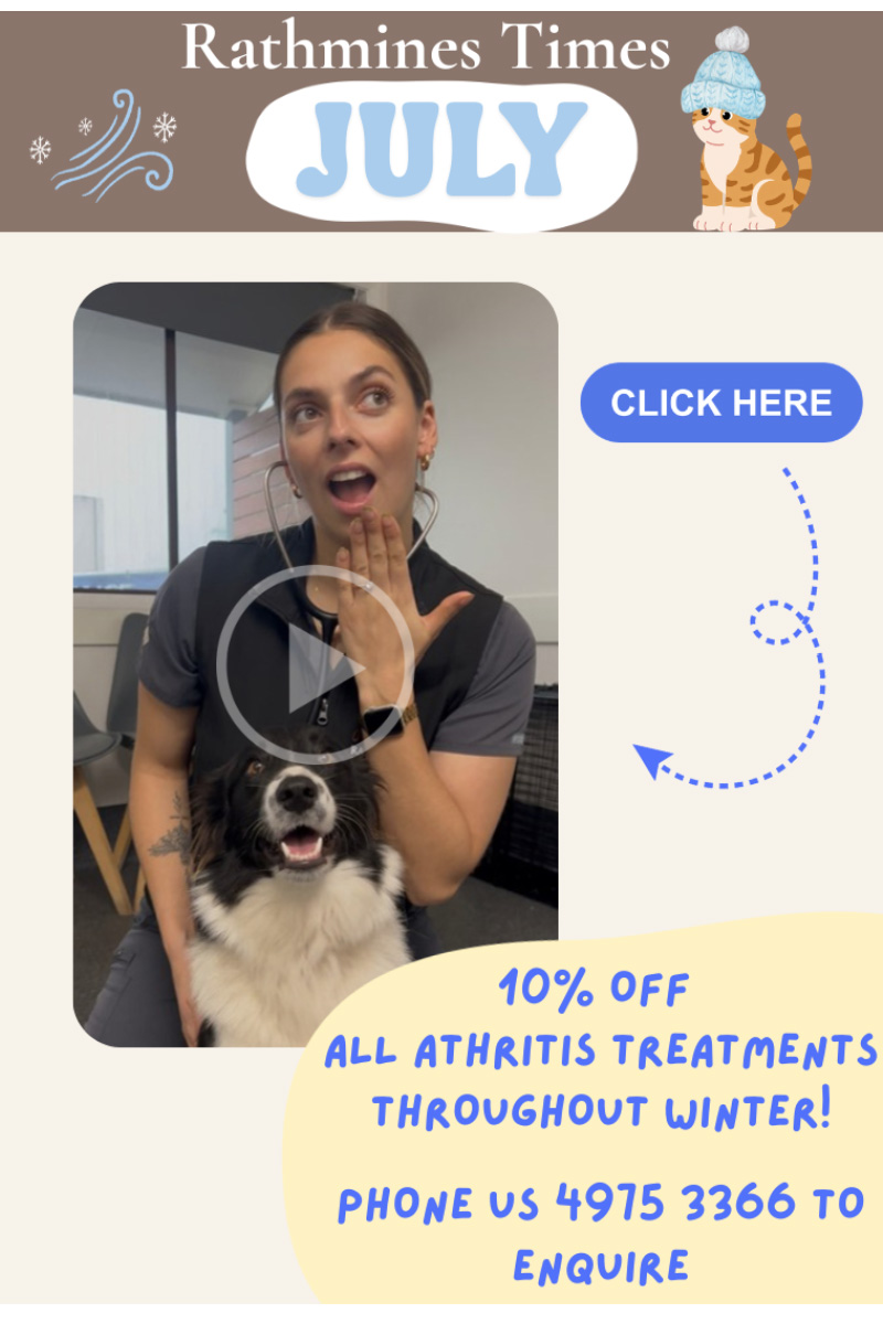 Rathmines Vet - Rathmines Times Newsletter July 2026 Rathmines Vet - Rathmines Times Newsletter