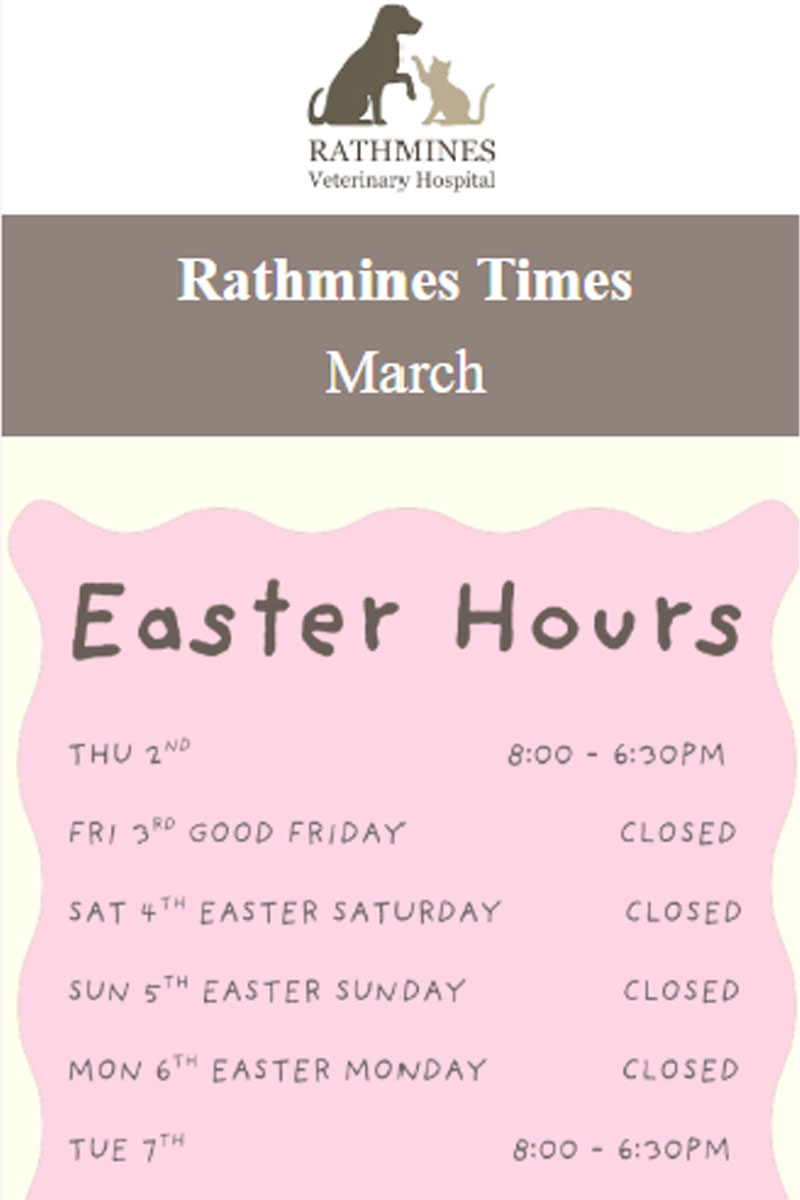 Rathmines Vet - Rathmines Times Newsletter