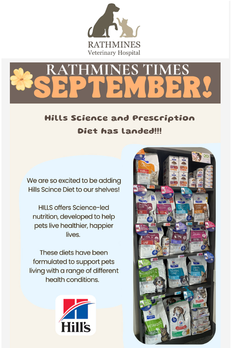 Rathmines Vet - Rathmines Times Newsletter September 2026 Rathmines Vet - Rathmines Times Newsletter