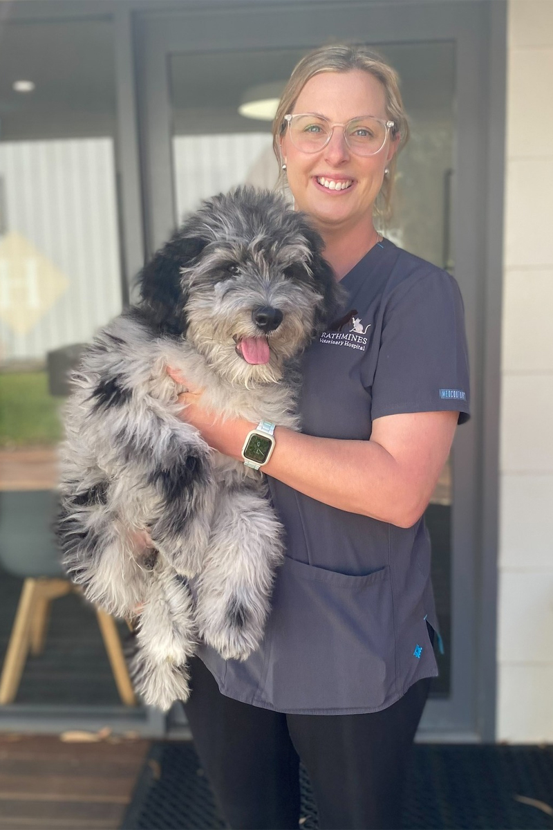 Rathmines Vet - Urgent Care Services Rathmines Vet - Urgent Care Services